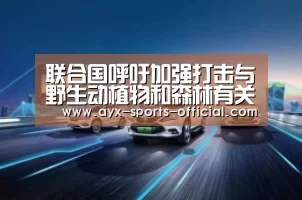 联合国呼吁加强打击与野生动植物和森林有关的跨国有组织犯罪：爱