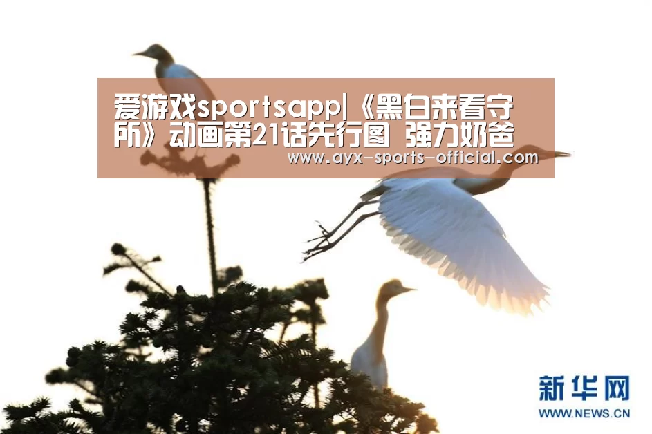 爱游戏sportsAPP下载